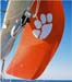 Naut on Call - Tiger Paw Spinn